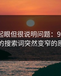 乍看不起眼但很说明问题：91网浏览器的搜索词突然变窄的原因