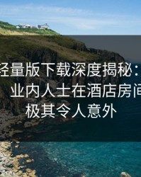 汤头条轻量版下载深度揭秘：八卦风波背后，业内人士在酒店房间的角色极其令人意外