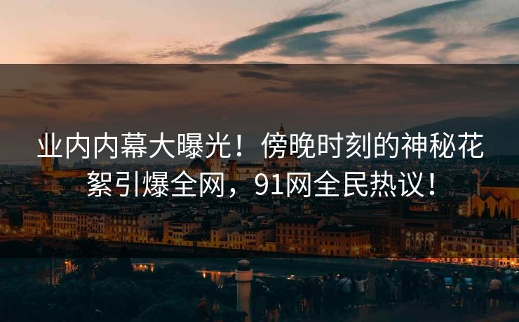 业内内幕大曝光！傍晚时刻的神秘花絮引爆全网，91网全民热议！