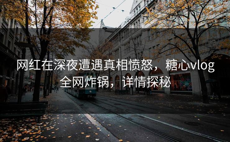 网红在深夜遭遇真相愤怒，糖心vlog全网炸锅，详情探秘